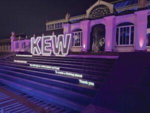 KEW lit up lettering