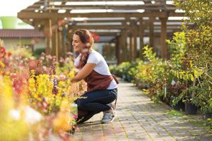 lady working at a garden centre