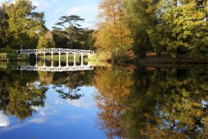 Painshill Park gardens